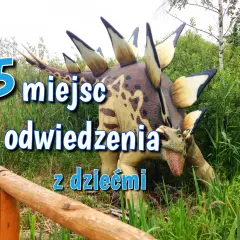 Gdzie na wakacje z dzieckiem w Polsce? Odkryj idealne miejsca!