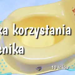Jak nauczyć dziecko korzystać z nocnika? Poradnik bez stresu!
