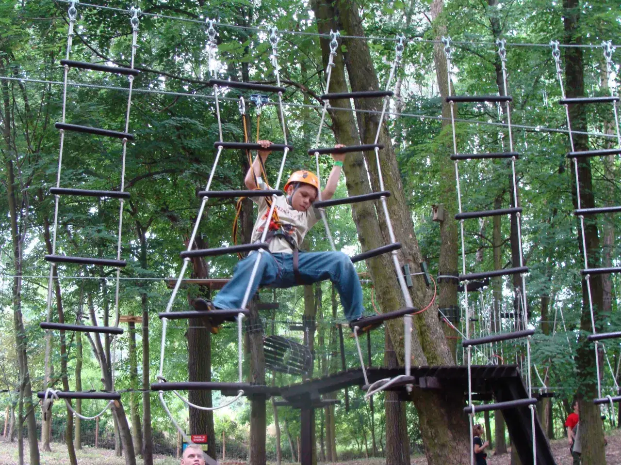 Park linowy dla dzieci Podkarpacie